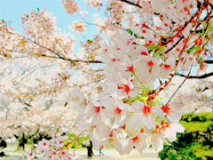 一句話(huà)描述90后的生活和心理狀態(tài) 90后對(duì)生活無(wú)奈的心情說(shuō)說(shuō)