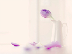 2019谷雨節(jié)氣經(jīng)典說(shuō)說(shuō)大全 谷雨朋友圈經(jīng)典語(yǔ)錄