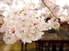 戀愛中寫給對象看的說說 2019最流行的情侶間情話真實(shí)浪漫