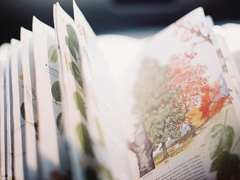 喜歡一個(gè)人感到心累的心情說說 心突然好累有些煩躁的心情說說大全