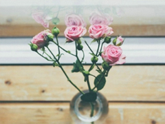 2019微信經(jīng)典說說心情短語(yǔ) 每個(gè)人必須了解的經(jīng)典句子