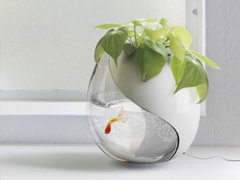 2019新年說(shuō)說(shuō)表白大全 新年表白男朋友的情話合集