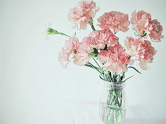 超甜蜜愛情說說給女朋友的 哄女朋友開心的暖心告白句子