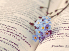 2019最真摯走心的愛情說說 讓人感動淚目的情話合集