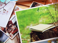 2019迎接三月份的說(shuō)說(shuō)陽(yáng)光勵(lì)志 三月第一天發(fā)朋友圈的說(shuō)說(shuō)