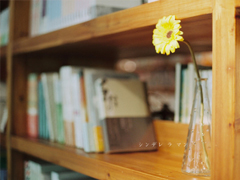 最新朋友圈簡(jiǎn)短經(jīng)典說(shuō)說(shuō) 早安一句話勵(lì)志溫暖說(shuō)說(shuō)