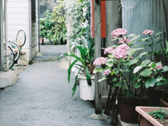 2019元宵節(jié)發(fā)朋友圈的搞笑說說大全 有創(chuàng)意不一樣的元宵節(jié)說說