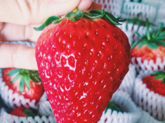 有關(guān)吃貨的朋友圈說(shuō)說(shuō)大全