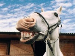 QQ搞笑說說段子：今晚，我托一只蚊子去找你，讓它替我親親你