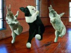 搞笑逗比說說大全，適合發(fā)說說的逗比段子