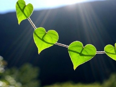 關(guān)于愛(ài)情很精辟很有哲理的一句話說(shuō)說(shuō) 既現(xiàn)實(shí)又有道理的愛(ài)情說(shuō)說(shuō)大全