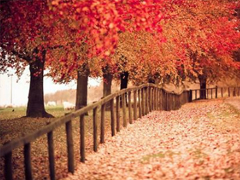 簡(jiǎn)單一句話愛情說說心情短語 2019發(fā)朋友圈的經(jīng)典愛情說說