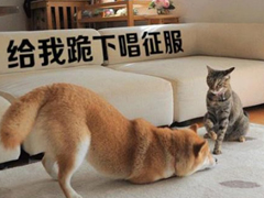 生活中那些搞笑的說說大全：好看的皮囊嫌你丑，有趣的靈魂厭你俗