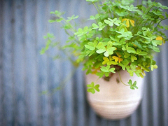 關(guān)于愛(ài)情的有些傷感但卻很有道理的唯美文藝說(shuō)說(shuō)