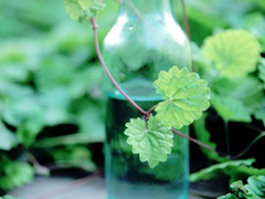 關(guān)于你我之間的愛情的說(shuō)說(shuō) 提到感情有些無(wú)措的愛情說(shuō)說(shuō)