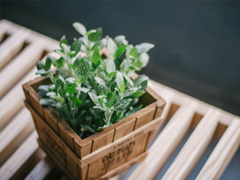 2019四月朋友圈小清新句子帶圖片 四月你好淡淡的陽(yáng)光淡淡的風(fēng)