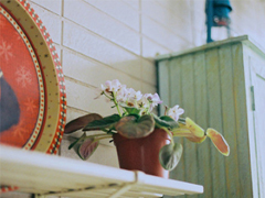 很特別的微信說說帶圖片獨(dú)一無二 15條值得收藏的經(jīng)典句子