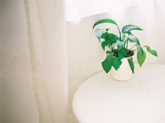 2019最新qq經(jīng)典說說帶圖片 句句真理值得學習的說說