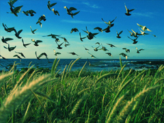 鼓舞人心的經(jīng)典說說帶圖片 朋友圈點贊超多的經(jīng)典說說