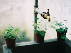 2019最流行的情侶表白說(shuō)說(shuō)配圖 文藝范暖心情話帶圖片