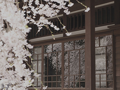 14條很美很好聽(tīng)的文藝唯美說(shuō)說(shuō)帶圖片 森系文藝范古風(fēng)說(shuō)說(shuō)