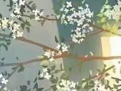 唯美優(yōu)美的文藝說(shuō)說(shuō)帶圖片 是我如今焚琴煮鶴忘了曾經(jīng)風(fēng)花雪月