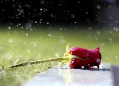 QQ空間說說圖片：明知道我是你的將就，卻還是把你當(dāng)做我的所有