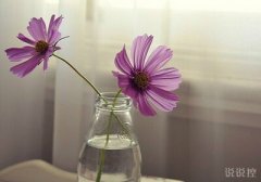 好看的空間說說帶圖片：日久不但能生情，還能生孩子