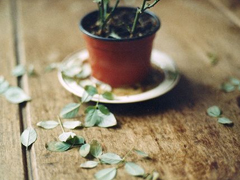 字里行間寫盡了詩意和文藝的唯美說說帶圖片