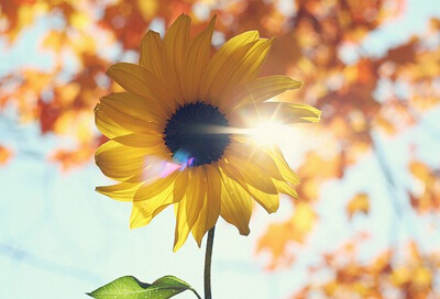 堅強的說說帶圖片：沒有傘的孩子，必須努力奔跑！