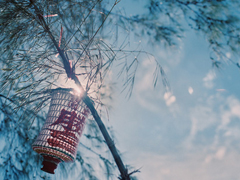 文字控偏愛的文藝小清新簡(jiǎn)單的唯美句子帶圖片