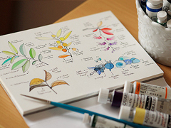 超唯美文藝的說說帶圖片 你看沒看見我都盛開風(fēng)來不來芬芳都在