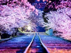 傷感說說帶圖片：我曾路過你的心，不是我不想停留而是你不肯收留