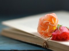 最新說說帶圖片：愛情就是這樣，有些人寧愿疼死，也不愿意放開