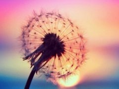 心情說說帶圖片：有一個人，讓你曾經(jīng)發(fā)了瘋的想，如今拼了命的忘