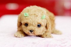 流行的說說帶圖片：那誰，我到底欠你什么，連夢里你都要讓我難過