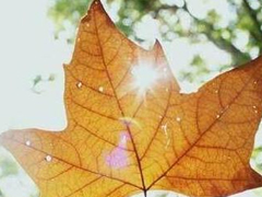 唯美時(shí)尚愛(ài)情說(shuō)說(shuō)帶圖片 很好看的唯美愛(ài)情說(shuō)說(shuō)精選