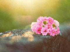 帶圖片的經(jīng)典說說：我們都曾不堪一擊，但時間讓我們刀槍不入