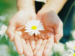 優(yōu)美說說唯美的句子配圖：海底月是天上月，只是鏡花水月