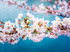 2019非主流經(jīng)典愛情說說帶圖片 很打動人的一些愛情真理