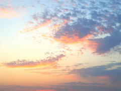 向女朋友求婚的話(huà)真實(shí)浪漫點(diǎn) 2019求婚句子大全簡(jiǎn)單帶圖片