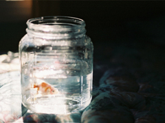 很真實的愛情感悟帶圖片 深有感觸的經(jīng)典愛情說說配圖