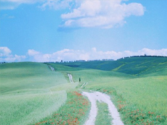 很真實(shí)幸福的愛(ài)情說(shuō)說(shuō)帶圖片 向另一伴告白的浪漫愛(ài)情說(shuō)說(shuō)