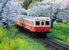 經(jīng)典說說帶圖片別人必評：如果再見不能紅著眼，是否還能紅著臉