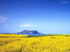 2018經(jīng)典句子帶圖片，經(jīng)典句子配圖