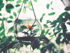 關(guān)于人生的超勵(lì)志正能量圖片說說 你優(yōu)秀了自然有對(duì)的人與你并肩