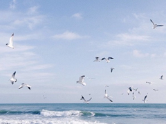 2018最勵(lì)志的關(guān)于青春和成長的圖片說說 有夢(mèng)想就能看到未來