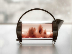 關(guān)于愛(ài)情的簡(jiǎn)單有哲理的句子帶圖片 不要貪心找到那個(gè)對(duì)的人就第一時(shí)間決定吧