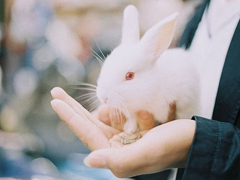 關(guān)于愛情簡(jiǎn)單又有道理的句子配圖 愛情是一個(gè)人的天荒地老