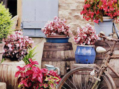 2019春分適合發(fā)朋友圈的說(shuō)說(shuō)句子帶圖片 今日春分早安經(jīng)典說(shuō)說(shuō)